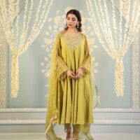 Tarini Set Lime green