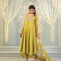 Tarini Set Lime green