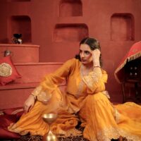 The pushkar set