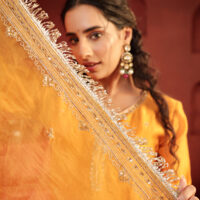 The pushkar set